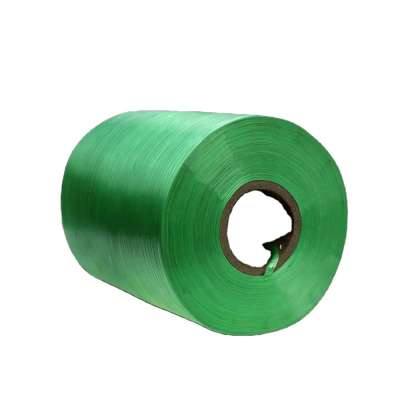 PE tying tape from china packing material